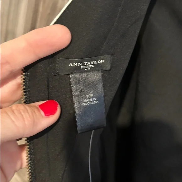 Ann Taylor Black and Tan Dress - Picture 3 of 7